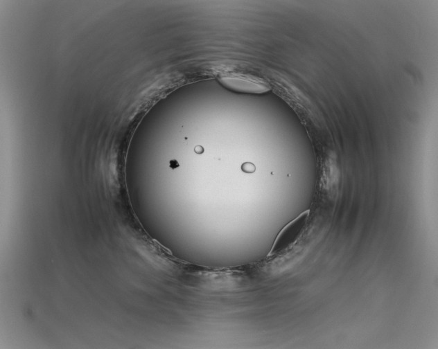 X0000115740524200911121540