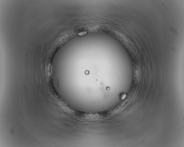 X0000115740525200911121540