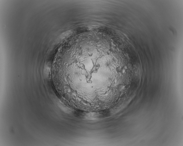 X0000115740527200911121540