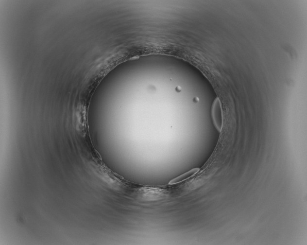 X0000115740528200911121540
