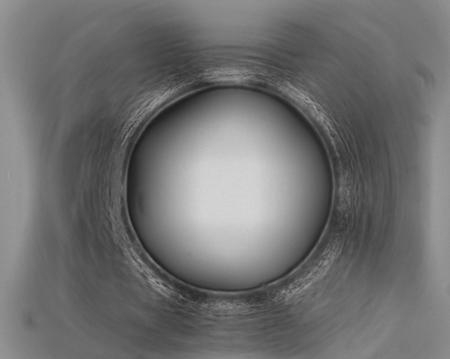 X0000115740529200911121539