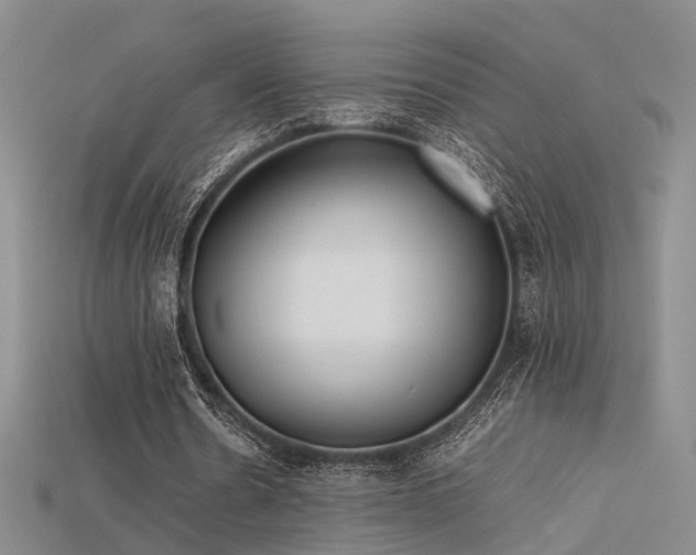 X0000115740530200911121539