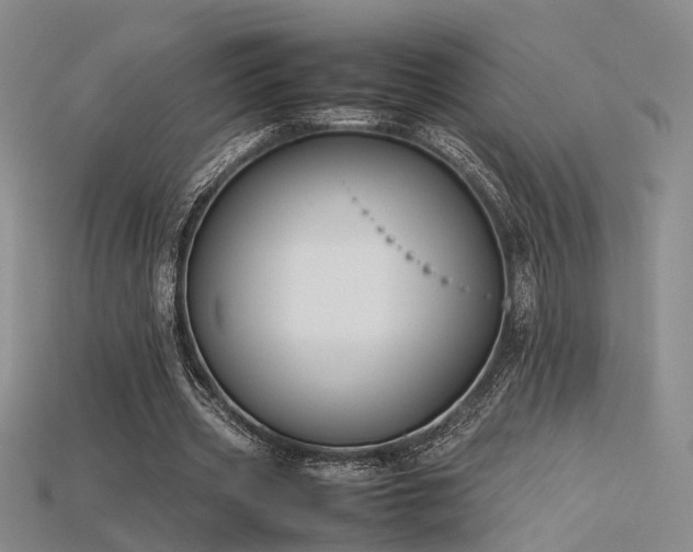 X0000115740533200911121539