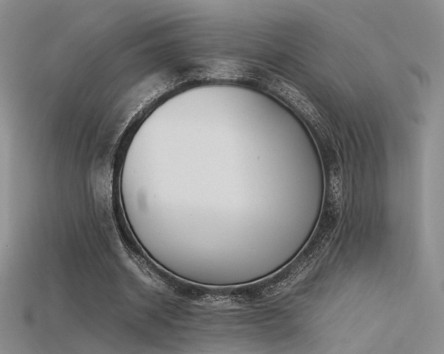 X0000115740534200911121539