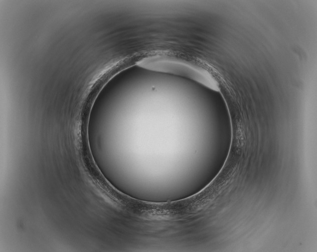 X0000115740535200911121539