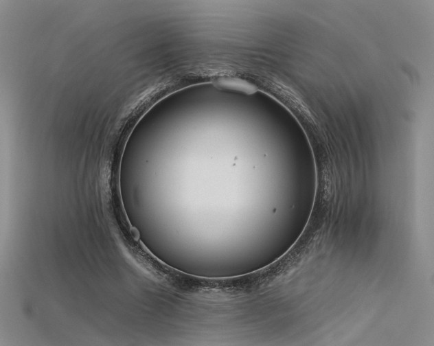 X0000115740538200911121539