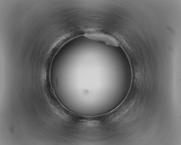 X0000115740539200911121539