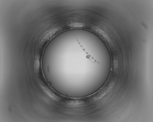 X0000115740541200911121539