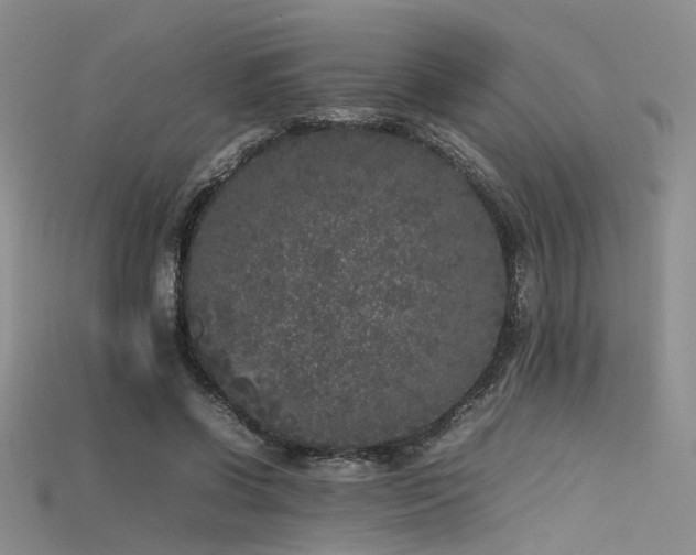 X0000115740542200911121539
