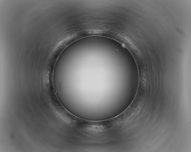 X0000115740543200911121539