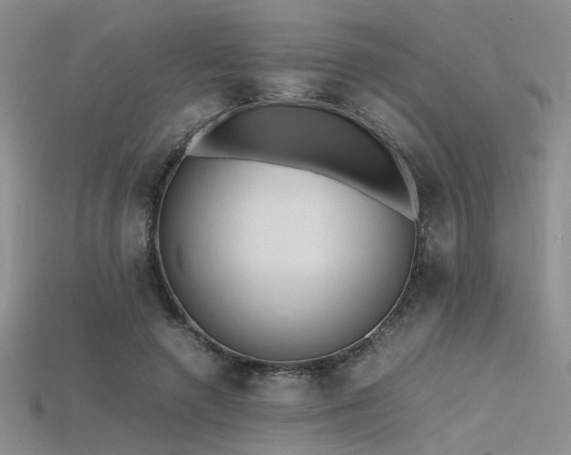X0000115740546200911121539