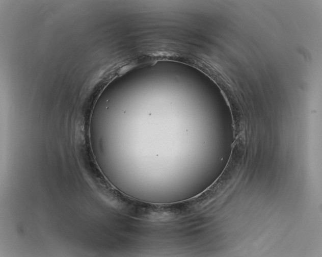 X0000115740547200911121539