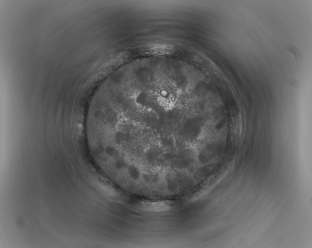 X0000115740553200911121539