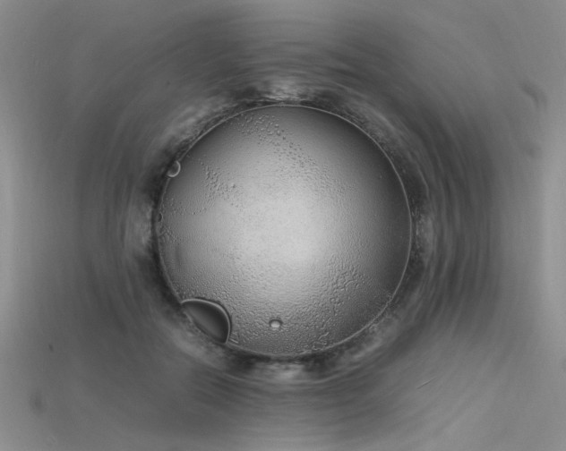 X0000115740554200911121539
