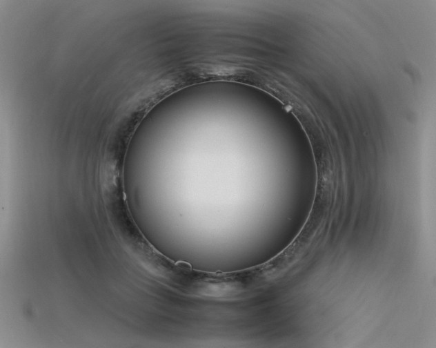 X0000115740555200911121539