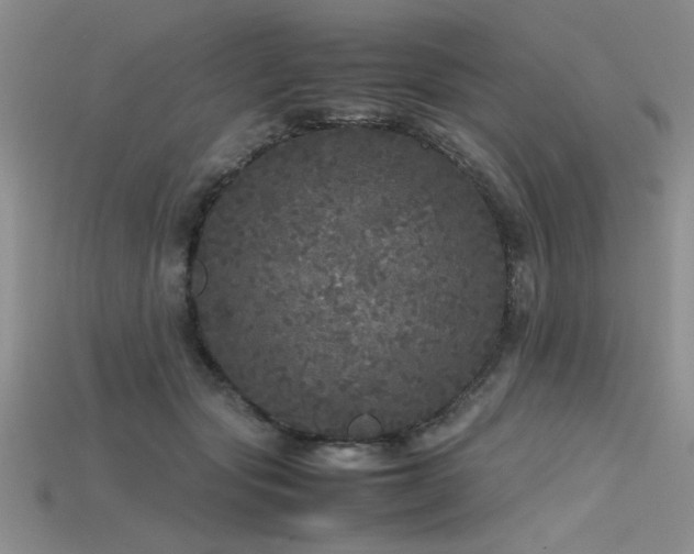 X0000115740557200911121539