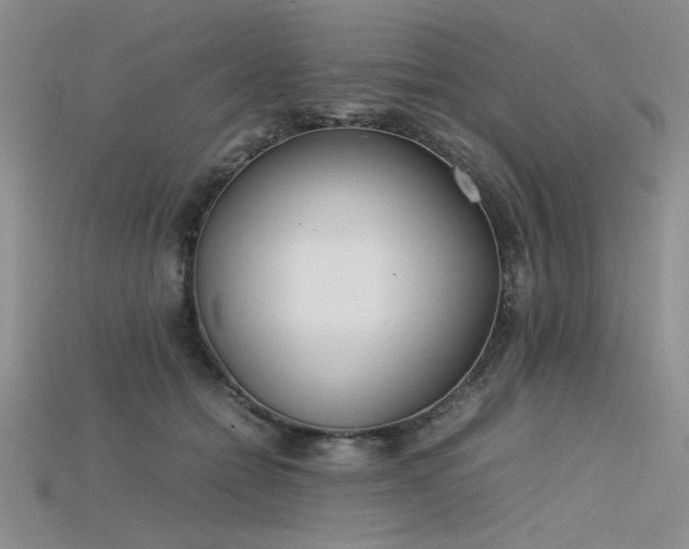 X0000115740558200911121539