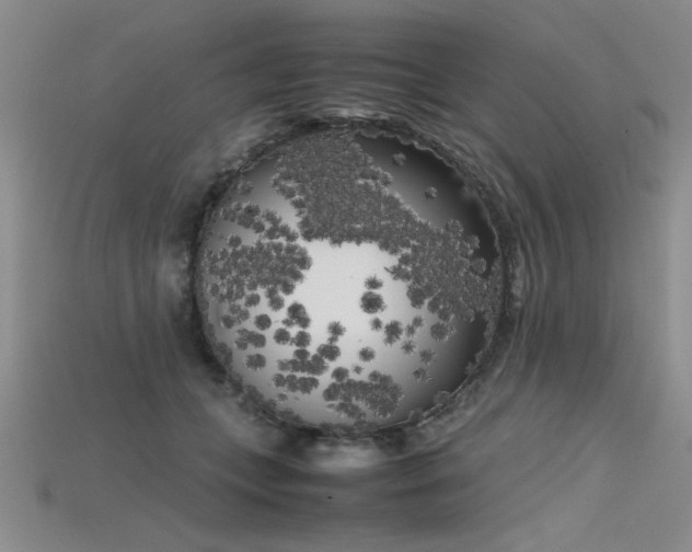 X0000115740559200911121539