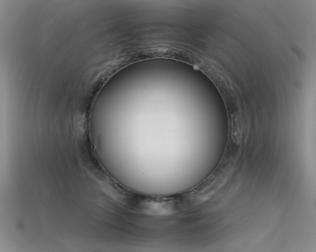X0000115740563200911121539