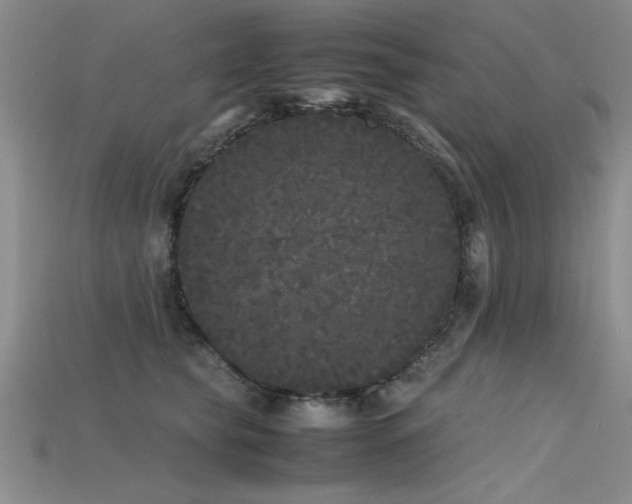 X0000115740565200911121539