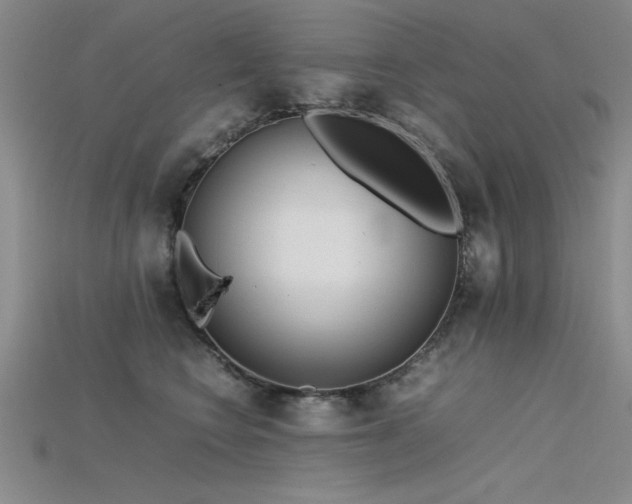 X0000115740566200911121539