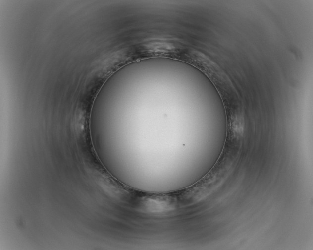 X0000115740567200911121539