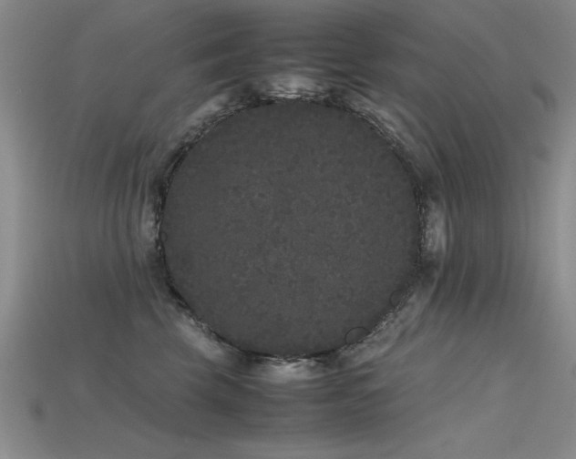 X0000115740569200911121540