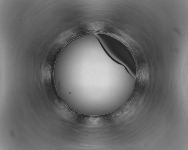 X0000115740570200911121540