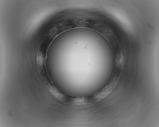 X0000115740574200911121540