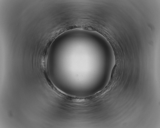 X0000115740575200911121540