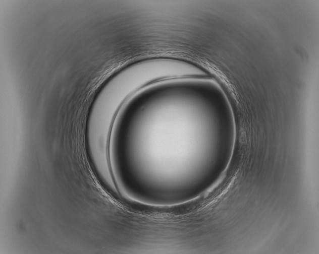 X0000115740577200911121539