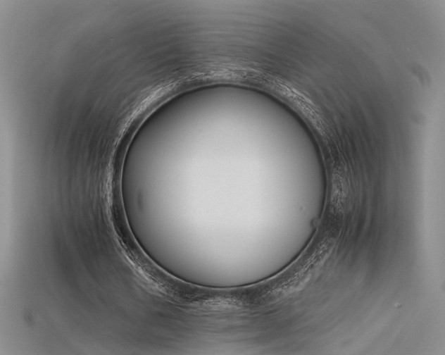 X0000115740578200911121539