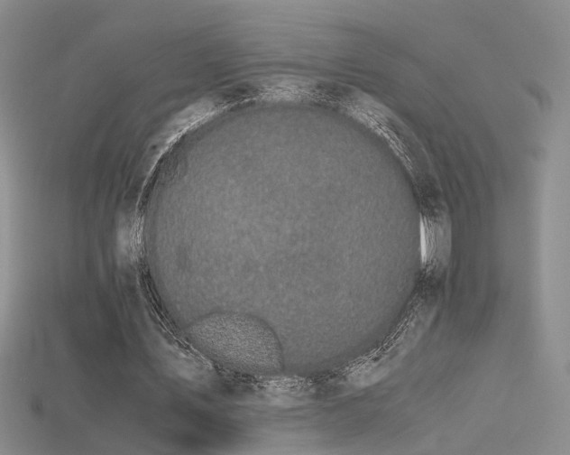 X0000115740579200911121539