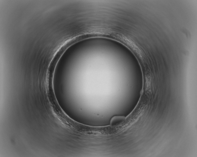 X0000115740580200911121539