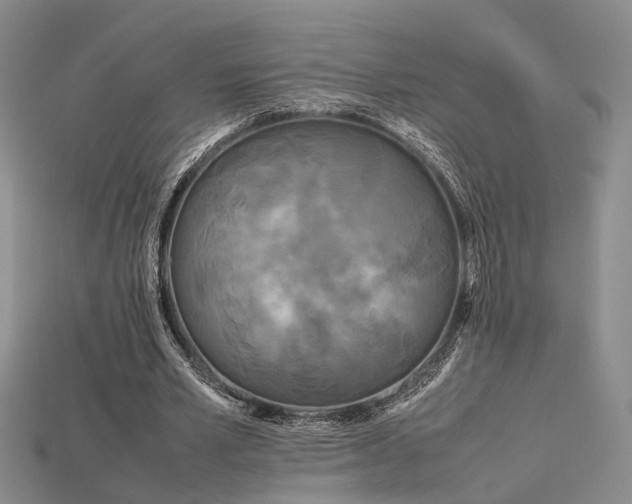 X0000115740581200911121539