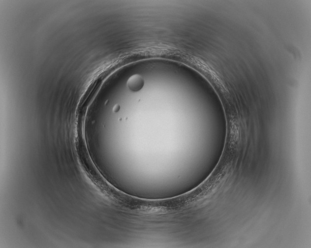 X0000115740582200911121539