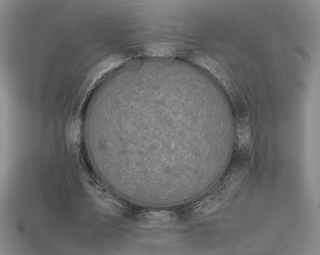 X0000115740583200911121539