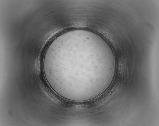 X0000115740584200911121539