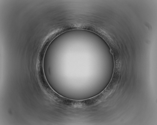 X0000115740587200911121539