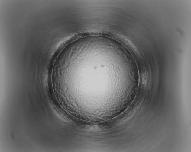 X0000115740588200911121539