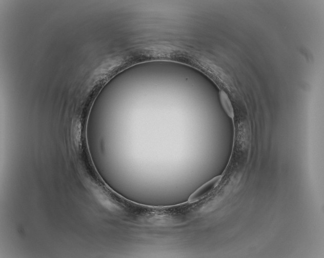 X0000115740589200911121539