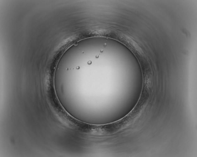 X0000115740591200911121539