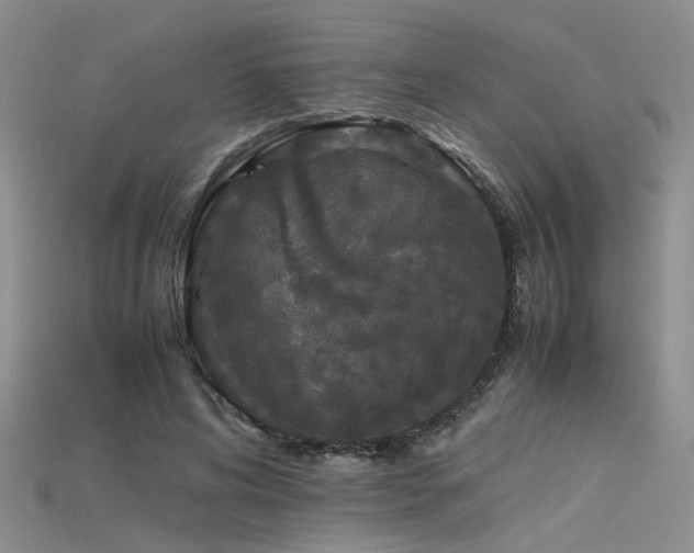 X0000115740592200911121539