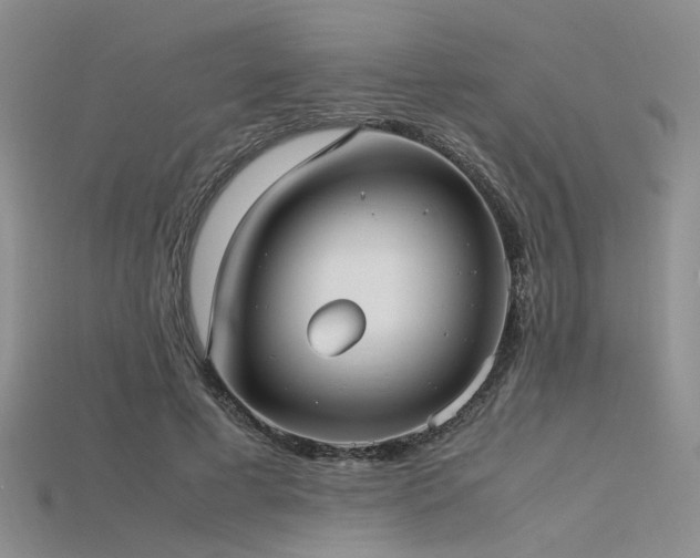 X0000115740593200911121539