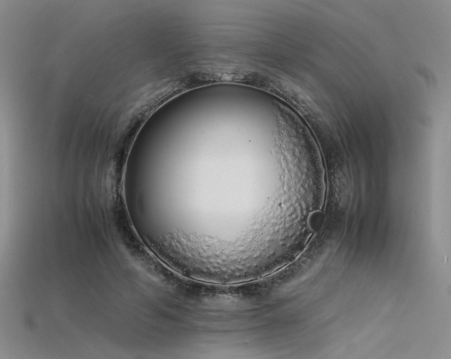 X0000115740594200911121539