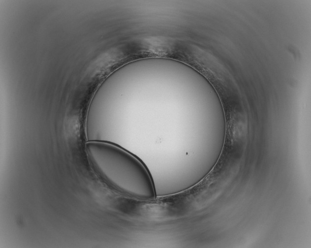 X0000115740595200911121539
