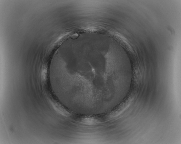 X0000115740596200911121539
