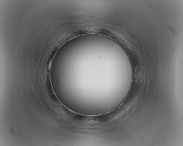 X0000115740597200911121539