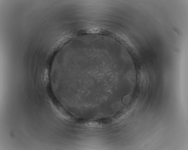 X0000115740598200911121539