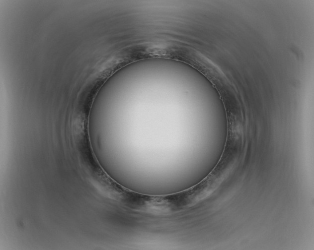 X0000115740603200911121539